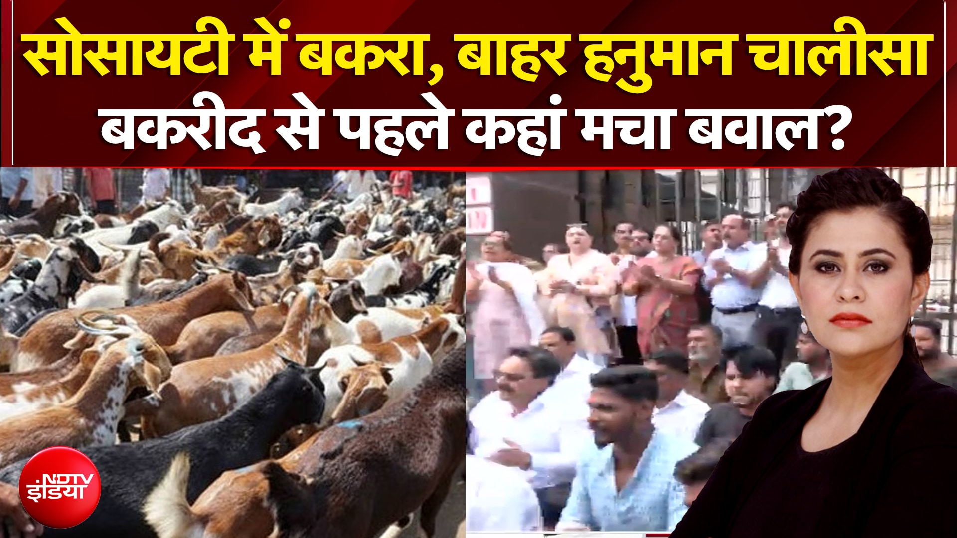 Bakra Controversy: सोसायटी में बकरा, बाहर हनुमान चालीसा, बकरीद से पहले बवाल! | Sucherita Kukreti