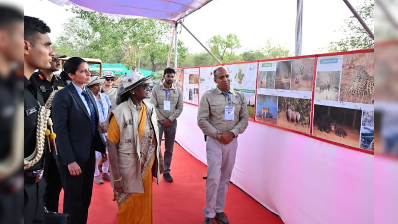कूनो पहुंचीं राष्ट्रपति द्रोपदी मुर्मू, देखी चीता प्रोजेक्ट की व्यवस्था और प्रदर्शिनी