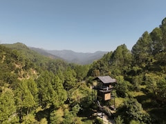 विश्व पर्यावरण दिवस: अगर पेड़ भेजने लगें अपना 'बिल', तो इंसान एक दिन में हो जाएगा कंगाल