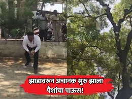 VIDEO: झाडावरून अचानक सुरु झाला पैशांचा पाऊस! जमिनीवर नोटांचा थर; वर पाहिलं तर...