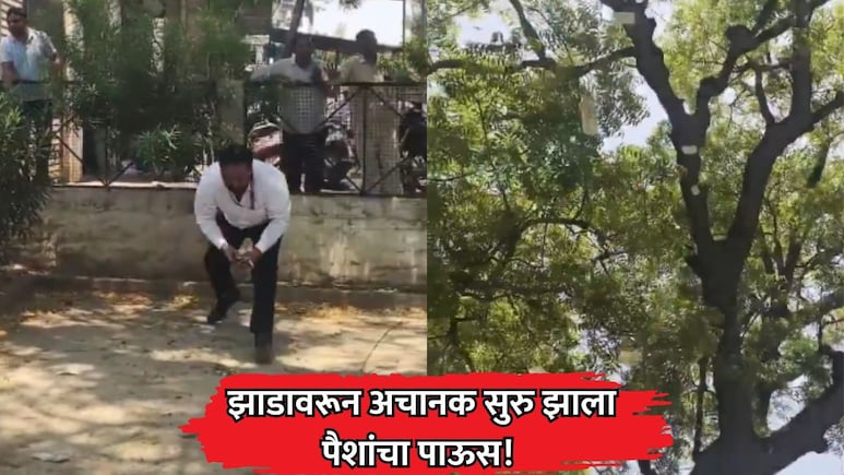 VIDEO: झाडावरून अचानक सुरु झाला पैशांचा पाऊस! जमिनीवर नोटांचा थर; वर पाहिलं तर...