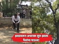 VIDEO: झाडावरून अचानक सुरु झाला पैशांचा पाऊस! जमिनीवर नोटांचा थर; वर पाहिलं तर...