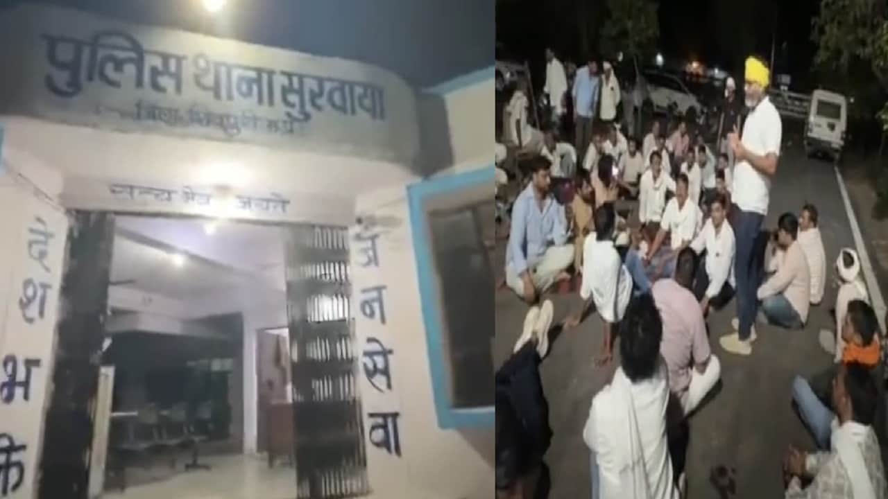 टाइगर के लिए भैंस का बच्चा चोरी; माधव नेशनल पार्क व वन विभाग