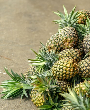 8 Best Fruits For Improving Gut Health