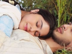 <i>Main Vaapas Aaunga</i> Box Office Collection Day 14: Imtiaz Ali's Film Sees An Upward Trend After Hitting Rs 50 Crore Globally