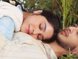 <i>Main Vaapas Aaunga</i> Box Office Collection Day 14: Imtiaz Ali's Film Sees An Upward Trend After Hitting Rs 50 Crore Globally