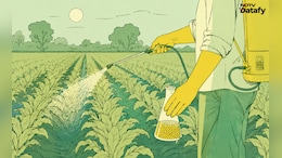 Deepak Fertilisers Share Price Rallies Over 6% In Trade Today &mdash; Here's Why