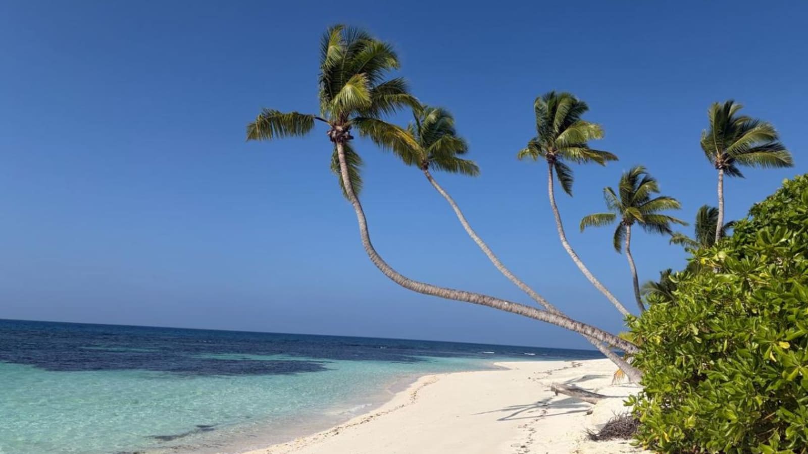 Cycling On A Runway, Dining By A Lighthouse: My Dreamy Escape To Desroches Island, Seychelles