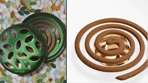 French Fragrance Brand's Incense Goes Viral For Looking Like Kacchua Chhaap Coil