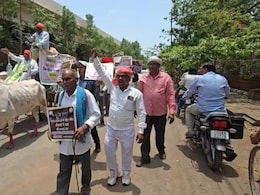 राजनांदगांव में अनोखा प्रदर्शन: बैलगाड़ी पर सवार होकर&nbsp;कलेक्ट्रेट पहुंचे किसान, जमकर किया प्रदर्शन