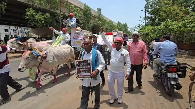 राजनांदगांव में अनोखा प्रदर्शन: बैलगाड़ी पर सवार होकर&nbsp;कलेक्ट्रेट पहुंचे किसान, जमकर किया प्रदर्शन
