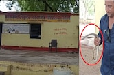 बड़वानी के स्कूल किचन में निकला सांप, भोजन बनाते समय मची अफरा-तफरी; रेस्क्यू के दौरान सर्प मित्र को डसा