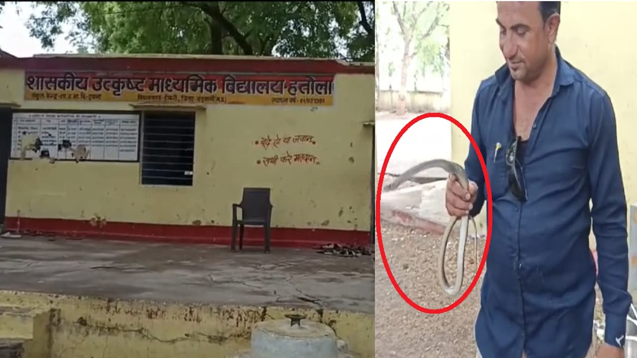 बड़वानी के स्कूल किचन में निकला सांप, भोजन बनाते समय मची अफरा-तफरी; रेस्क्यू के दौरान सर्प मित्र को डसा
