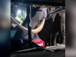 Video: Rogue Elephant 'Padayappa' Strikes Again In Kerala, Damages Car