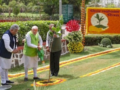 World Environment Day: Indians Show How Collective Efforts, Policies Can Protect Environment, Says PM Modi