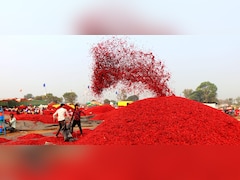देश में पहली बार एक साथ 12 उद्यानिकी फसलों को GI टैग; MP ने रचा इतिहास, इन उत्पादों को मिली खास पहचान