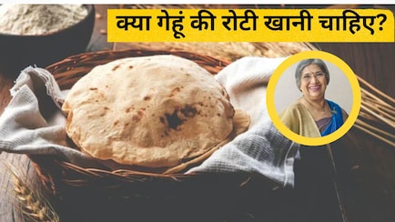 सालों से खाई जा रही हैं गेहूं की रोटियां, आज क्यों बन गई हैं 'विलेन'? डॉ. हंसाजी ने बताया पूरा सच