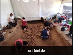 Nearly 80 Headless Human Skeletons Discovered At A Spooky Stone Age Site