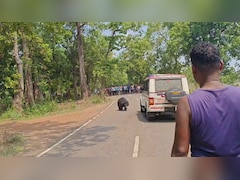 सड़क पर आया जंगली भालू, पुलिस की PCR वैन पर चढ़ने की कोशिश, मचा हड़कंप!