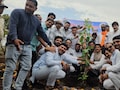 नमो वन में पौधारोपण; 11 हजार पौधे लगाने का लक्ष्य, आगर-मालवा में पर्यावरण टैक्स की उठी मांग