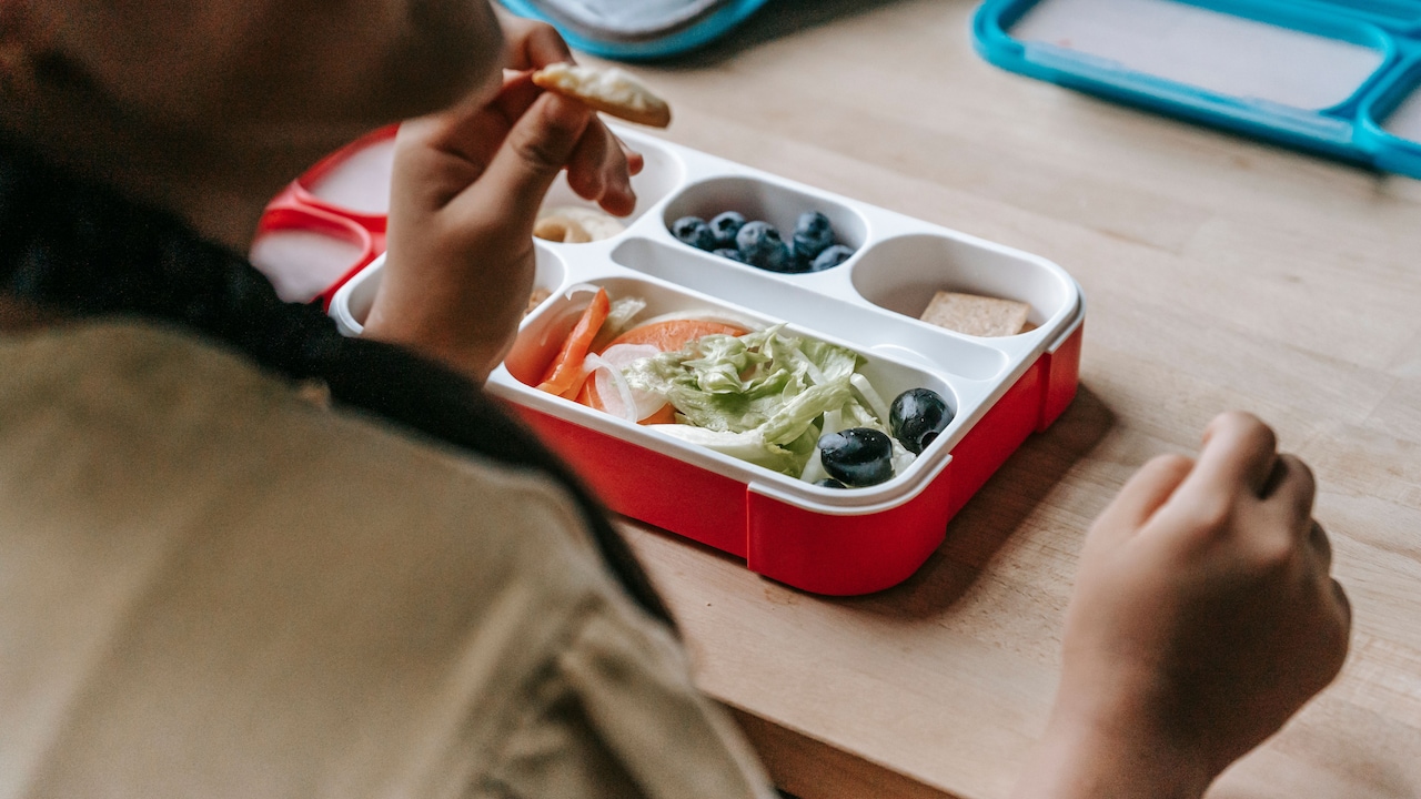 Which lunch box do you want to choose kids under ₹1,000?