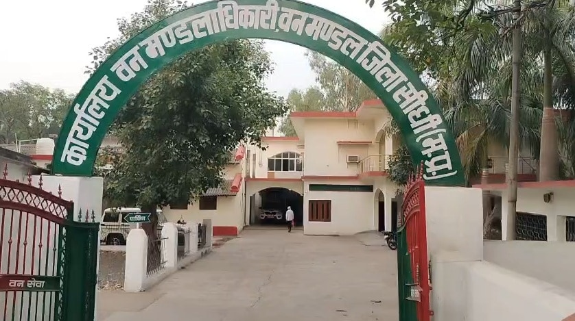 MP forest guard job 