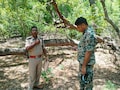 BSF अकादमी परिसर में चंदन चोरी, ग्वालियर पुलिस ने दर्ज किया मामला