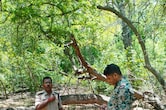 BSF अकादमी परिसर में चंदन चोरी, ग्वालियर पुलिस ने दर्ज किया मामला