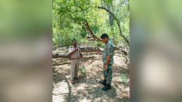 BSF अकादमी परिसर में चंदन चोरी, ग्वालियर पुलिस ने दर्ज किया मामला