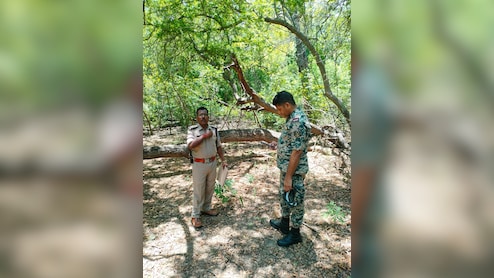 BSF अकादमी परिसर में चंदन चोरी, ग्वालियर पुलिस ने दर्ज किया मामला