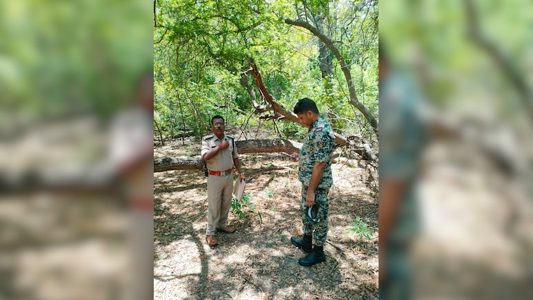 BSF अकादमी परिसर में चंदन चोरी, ग्वालियर पुलिस ने दर्ज किया मामला