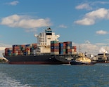 India's Exports Grow 15% In April-May; Non-Petroleum Shipments Stay Strong: Sources