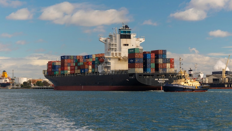 India's Exports Grow 15% In April-May; Non-Petroleum Shipments Stay Strong: Sources