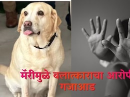 Mary Dog : अवघ्या 4 मिनिटात केस सोडवली; 6 वर्षांच्या चिमुरडीवरील अत्याचार प्रकरणात मॅरीची मोठी कामगिरी