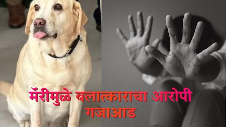 Mary Dog : अवघ्या 4 मिनिटात केस सोडवली; 6 वर्षांच्या चिमुरडीवरील अत्याचार प्रकरणात मॅरीची मोठी कामगिरी
