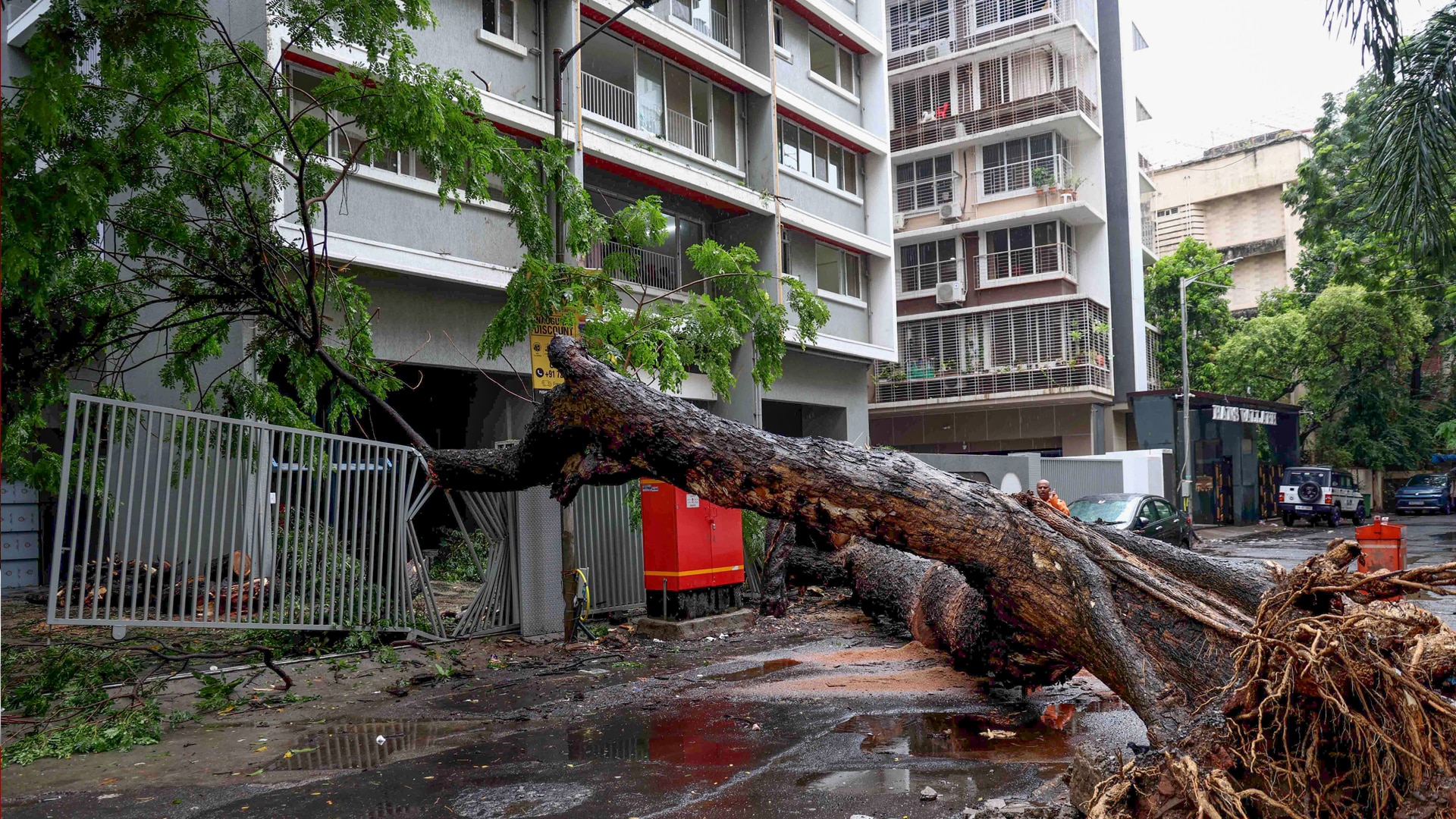 Wall Collapses, Trees Uprooted, Car Crushed: Mumbai Monsoon Rain Mayhem