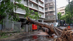 Wall Collapses, Trees Uprooted, Car Crushed: Mumbai Monsoon Rain Mayhem