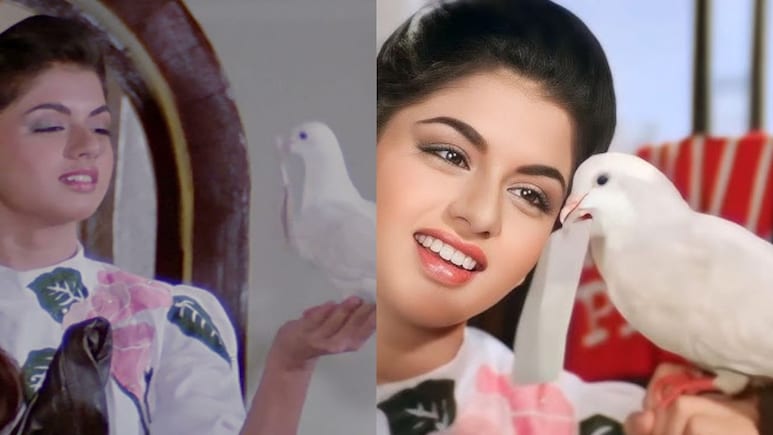 किसने लिखा था मैंने प्यार किया का 'कबूतर जा जा जा'? सलमान खान को दिए एक से बढ़कर एक ब्लॉक बस्टर हिट