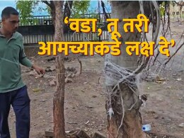 VIDEO : '45 वर्षांचे टगे, खुले सांड...' वटपौर्णिमेला वडाला घातल्या उटल्या फेऱ्या; बीडच्या तरुणाचं साकडं चर्चेत