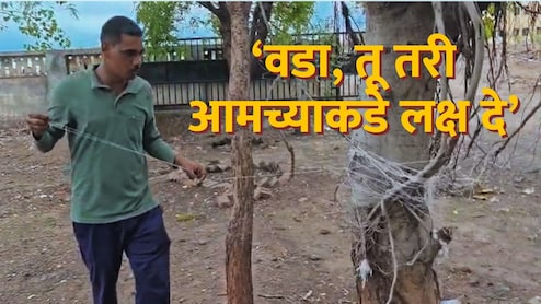VIDEO : '45 वर्षांचे टगे, खुले सांड...' वटपौर्णिमेला वडाला घातल्या उटल्या फेऱ्या; बीडच्या तरुणाचं साकडं चर्चेत
