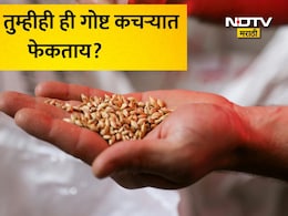 Muskmelon Seeds Benefits: कचरा समजून फेकून देणारी ही गोष्ट बाजारात विकली जातेय महागड्या दरात, आरोग्यवर्धक फायदे वाचून थक्क व्हाल
