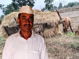 Bhandara News : Bhandara : लाडक्या बैलांसाठी शेताकडे निघाले; मात्र बैलबंडीने रस्त्यातच सोडली साथ; शेतकऱ्याच्या कुटुंबात शोककळा