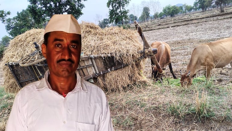Bhandara : लाडक्या बैलांसाठी शेताकडे निघाले; मात्र बैलबंडीने रस्त्यातच सोडली साथ; शेतकऱ्याच्या कुटुंबात शोककळा