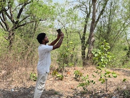 मोबाइल नेटवर्क संकट: राशन, अटेंडेंस व एंबुलेंस बुलाने के लिए चढ़ते हैं पहाड़; मैहर के गांवों की दर्दभरी कहानी