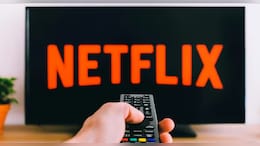 Netflix 2026 Slate Reveals Multiple TV Show Cancellations After Just One Season