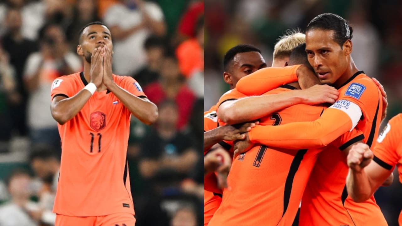 Netherlands' Cody Gakpo Breaks Down After Scoring, Entire Team Rushes To Comfort: Emotional Video