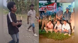 Three Arrested In Assam Over Alleged Hornbill Killing