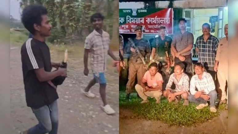 Three Arrested In Assam Over Alleged Hornbill Killing