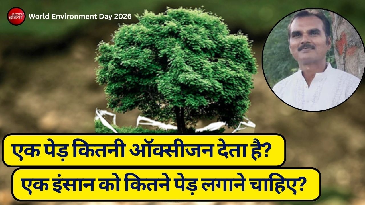 जिंदगी भर की सांस का कर्ज: एक इंसान को कितने पेड़ लगाने चाहिए? जवाब चौंका देगा