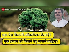 जिंदगी भर की सांस का कर्ज: एक इंसान को कितने पेड़ लगाने चाहिए? जवाब चौंका देगा